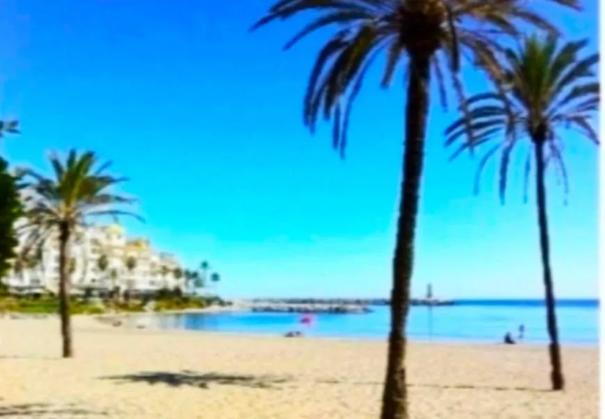 Junto Paseo Maritimo Piscinas Jardines Y Parking Apartment Marbella Spain