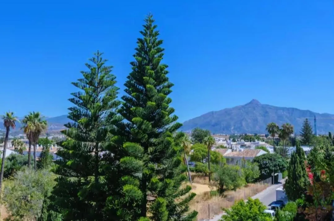 Junto Paseo Maritimo Piscinas Jardines Y Parking Apartment Marbella