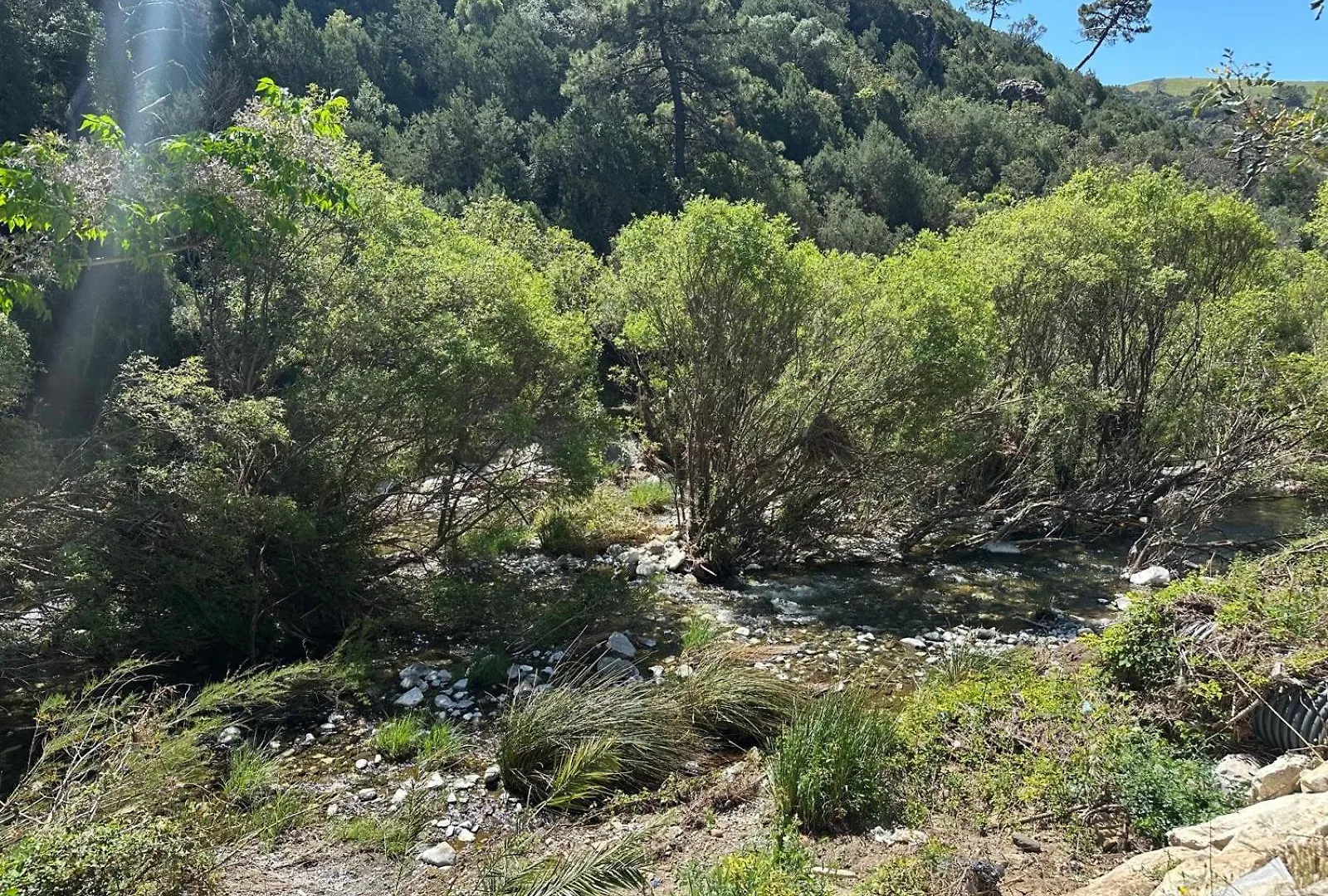 Junto Paseo Maritimo Piscinas Jardines Y Parking Apartment Marbella